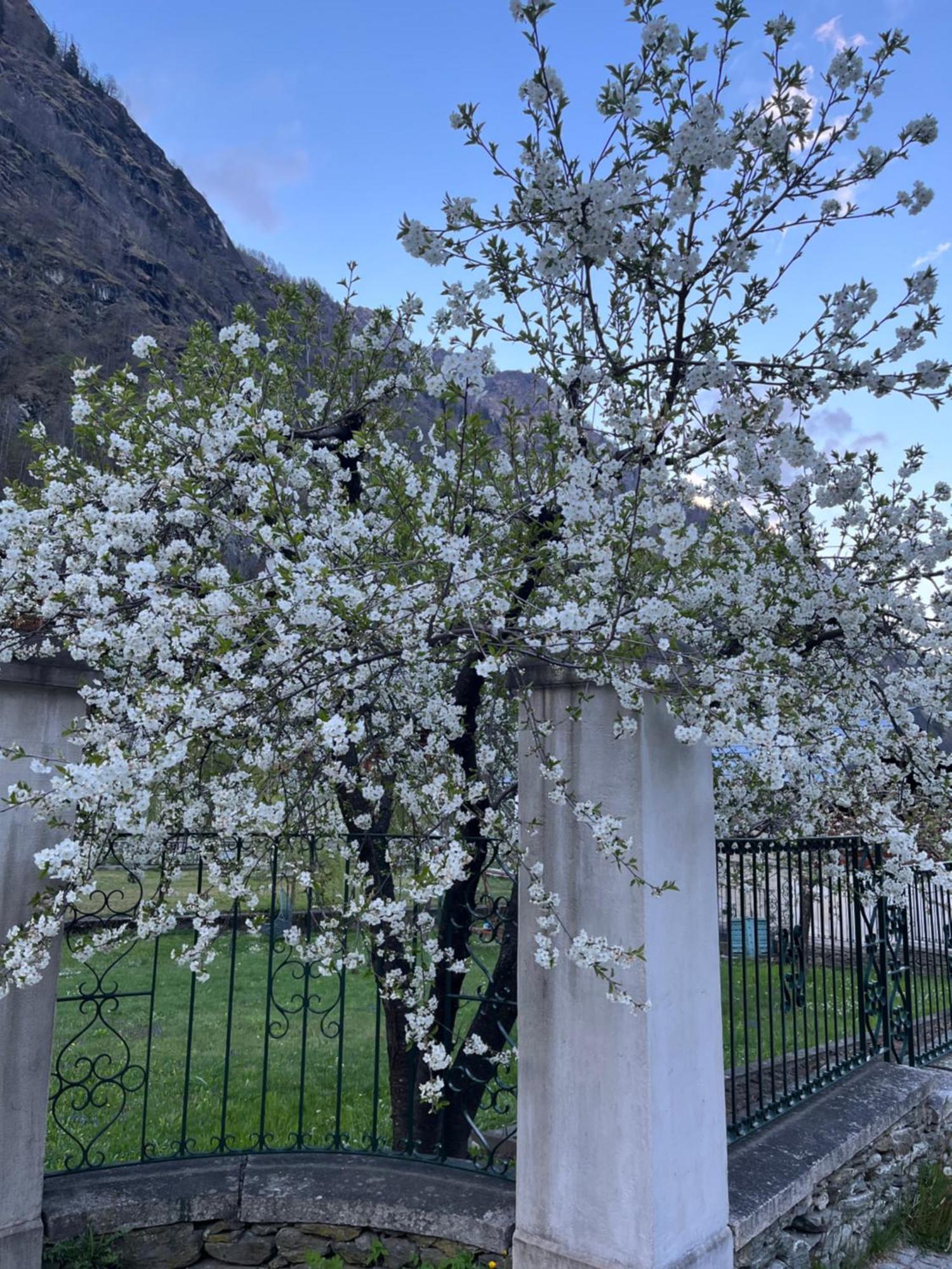 L'Aria Di Casa Alagna Valsesia Exterior foto