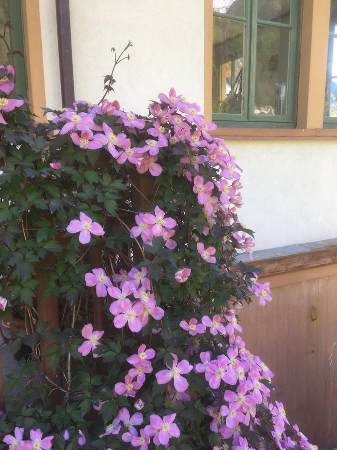 L'Aria Di Casa Alagna Valsesia Exterior foto